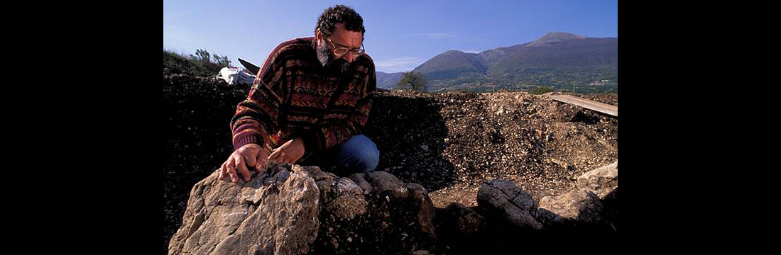 Vincenzo D'Ercole